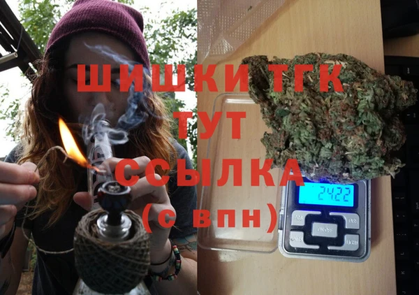 тгк Медногорск
