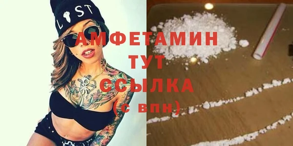 молекула духа Мегион