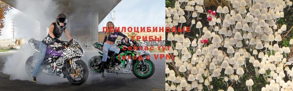 тгк Медногорск