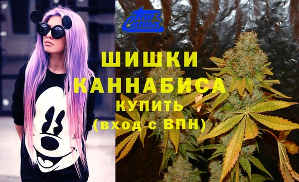 спайс Медвежьегорск