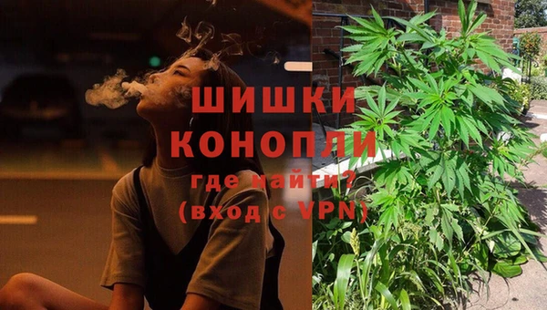 молекула духа Мегион