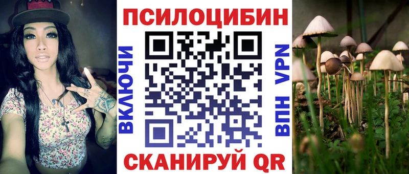 Псилоцибиновые грибы мухоморы  Купить  Яхрома 